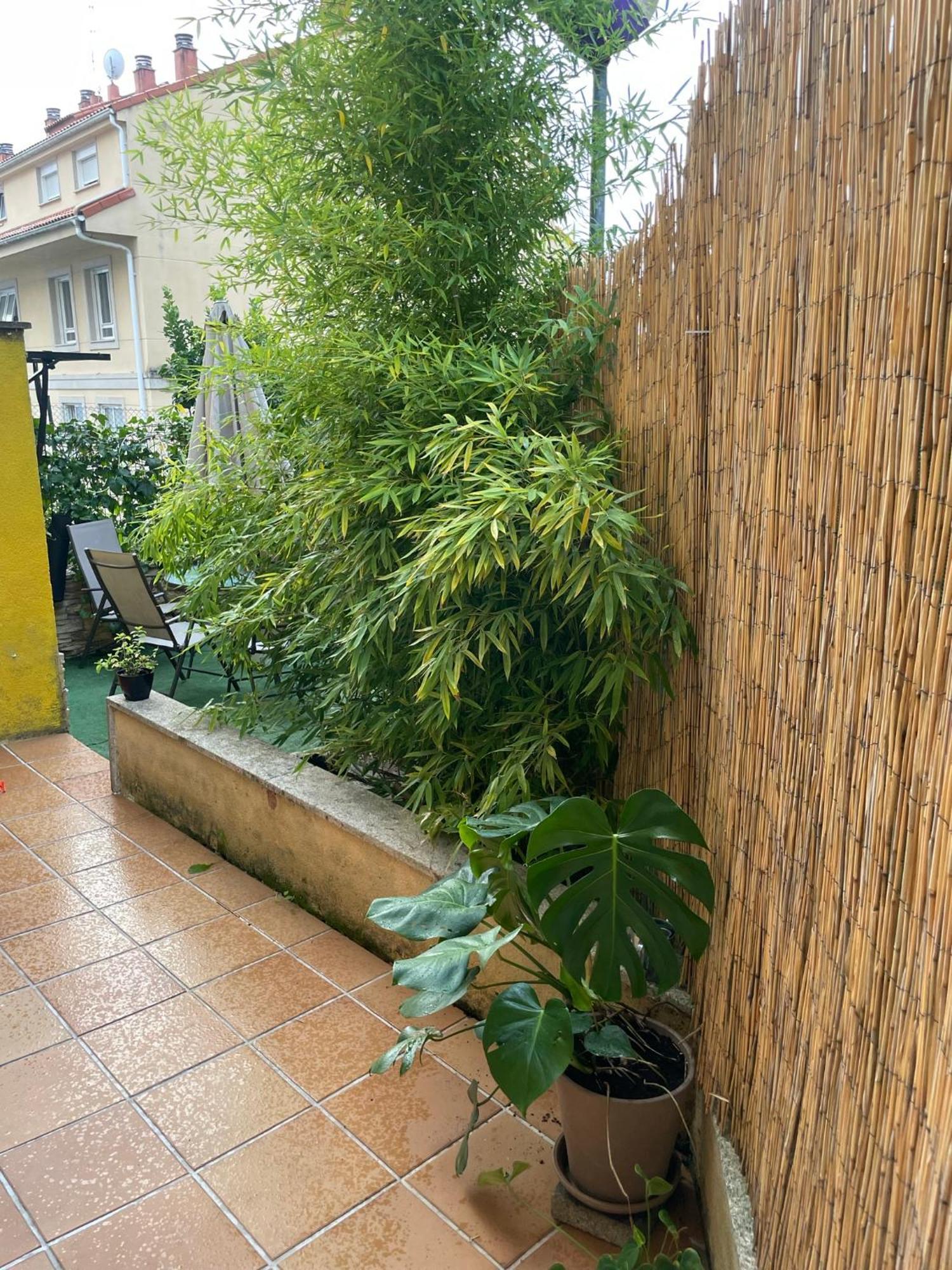 Ecobambu Con Terraza Y Parking En Pontevedra Apartment San Salvador de Poio Exterior photo